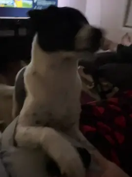 She said TAKE IT 