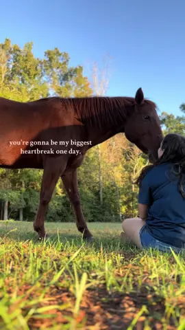 the way he kissed me back I can't #rideforsam #fypシ #flash #hearthorse #heartbreak 