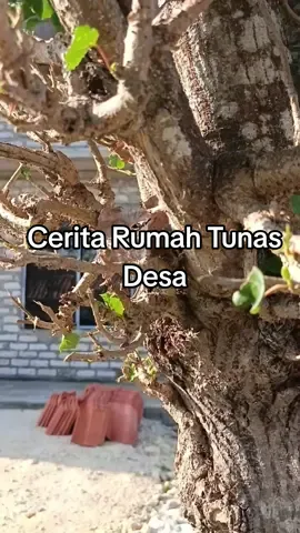 Cerita Rumah Tunas Desa #rumahminimalis #rumahtumbuh #fyp #rumahtunasdesa 