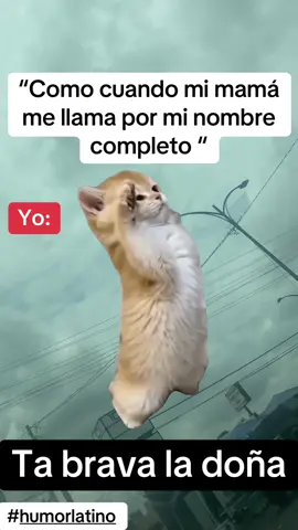 #Meme #MemeCut #humorlatino #capcut 🤣🤣🤣🤣🤣🤣🤣🤣🤣jajaja jajajaja jajaja 