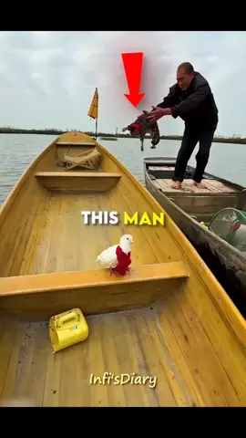 cats love fishing #naturelove #foryou #fypシ #catsoftiktok #fyp 