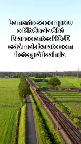 #coala #dicas_utilidades #casalimpa #limpezadacasa #limpezadecasa 