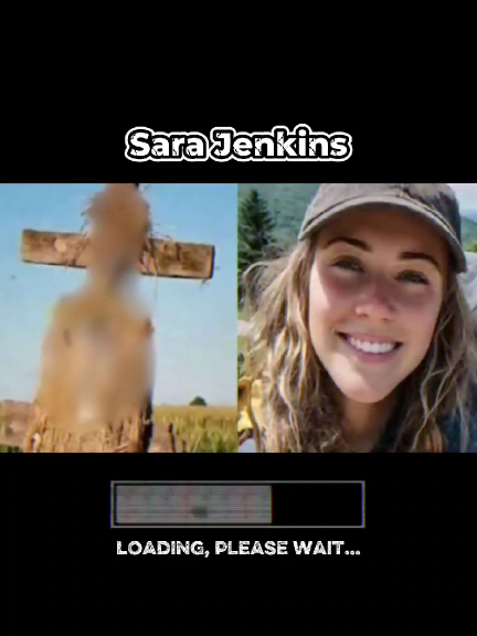 Sara Jenkins, excursionista encontrada en Scarecrow. #simulando_fatos #story #terror #creepy #scary 