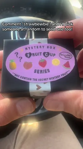 🍓🍓winner must live in the USA🇺🇸 #mysterybox#caraccessories#cardiffuser#essentialoils#bewbies