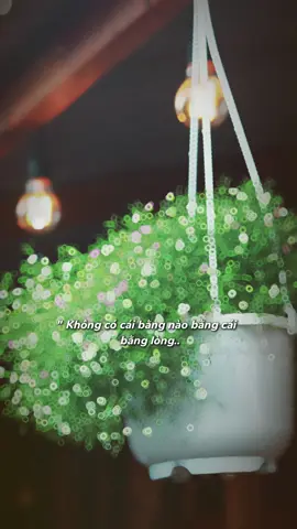 Bằng lòng với những gì mình đang có đó là hạnh phúc #viết_lại_thanh_xuân #lờihayýđẹp #hanhphuc #camxuc #binhyen 