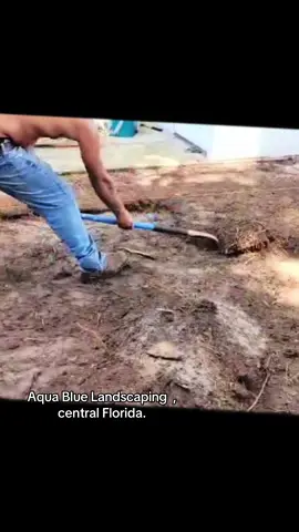 Aqua Blue Landscaping & construcción . Central Florida.