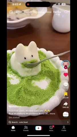 poor jelly cat 😭 #fyp #fypシ #cat #viral #art