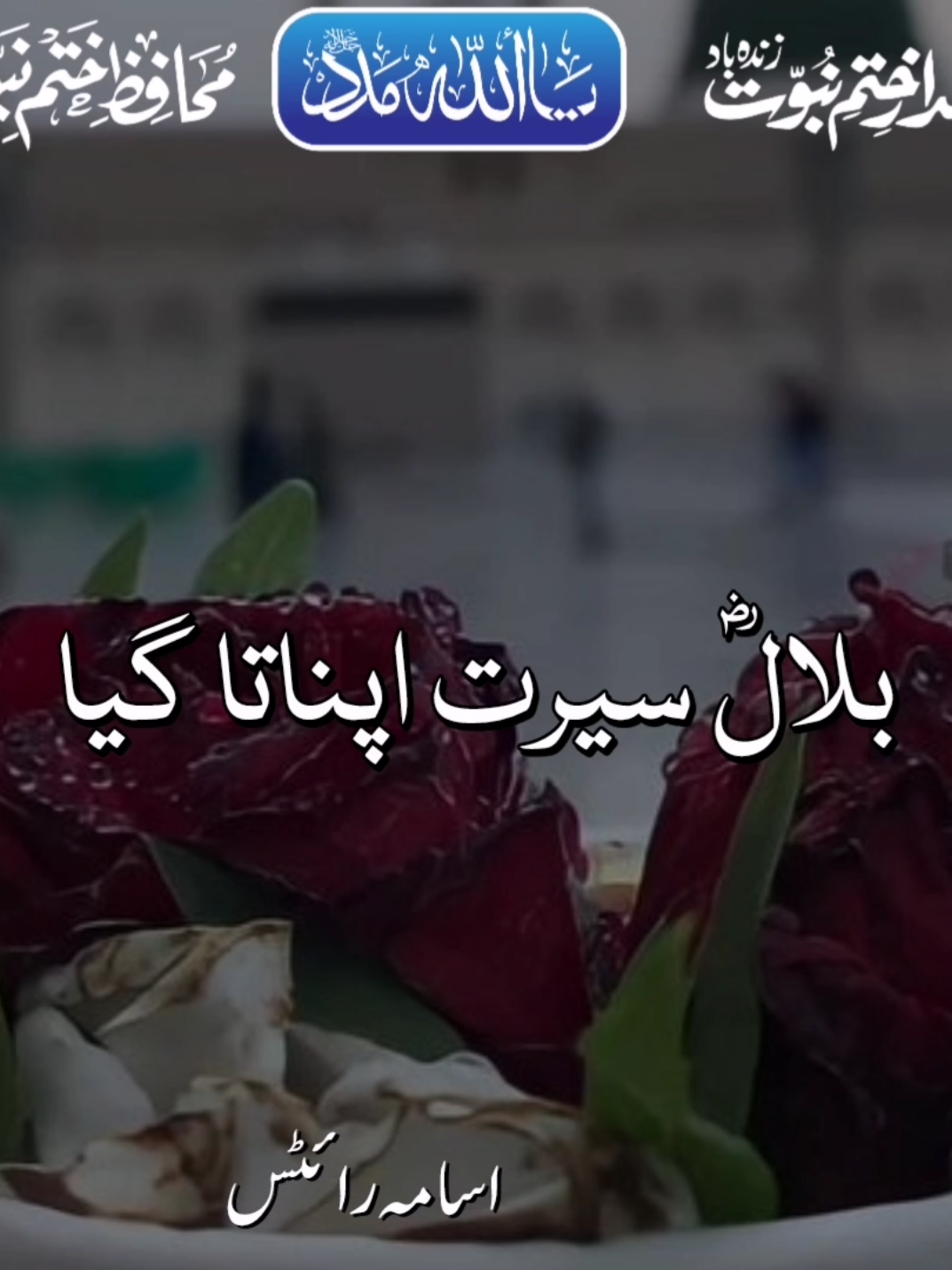 ابولہب برباد ہو گیا |Peer Syed Mazhar shah sab | 12 Rabi Ul Awal 🔥 ❤️ 🔥 😍 #islamic #islamiccontent #islamicreminder #alhamdulillah #muslimtiktok 