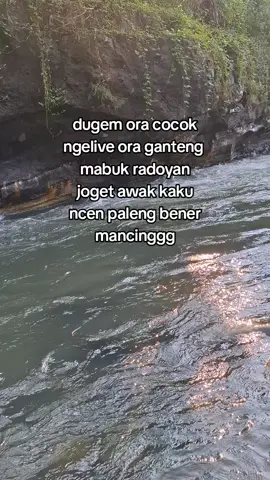 inpo spot mann,ikan syulitt🙋 #mancing #fikrifishing #mancingmania #mancingmaniamantap🐟🎣 #mancingikan #waderpari #mancingikanbesar #spotmancing #fypmancing #microfishing #waderhunter #mancingliar #storymancing #mancingwader #tiktokfishing #fyppppppppppppppppppppppp #fypageシ #xyzabc 