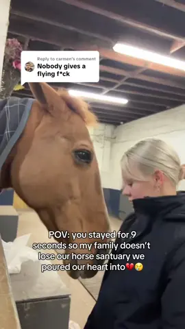 Replying to @carmen Thank you for watching! Every comment and order matters❤️‍🩹🥹 #savehorse #animalsoftiktok #jewelry 
