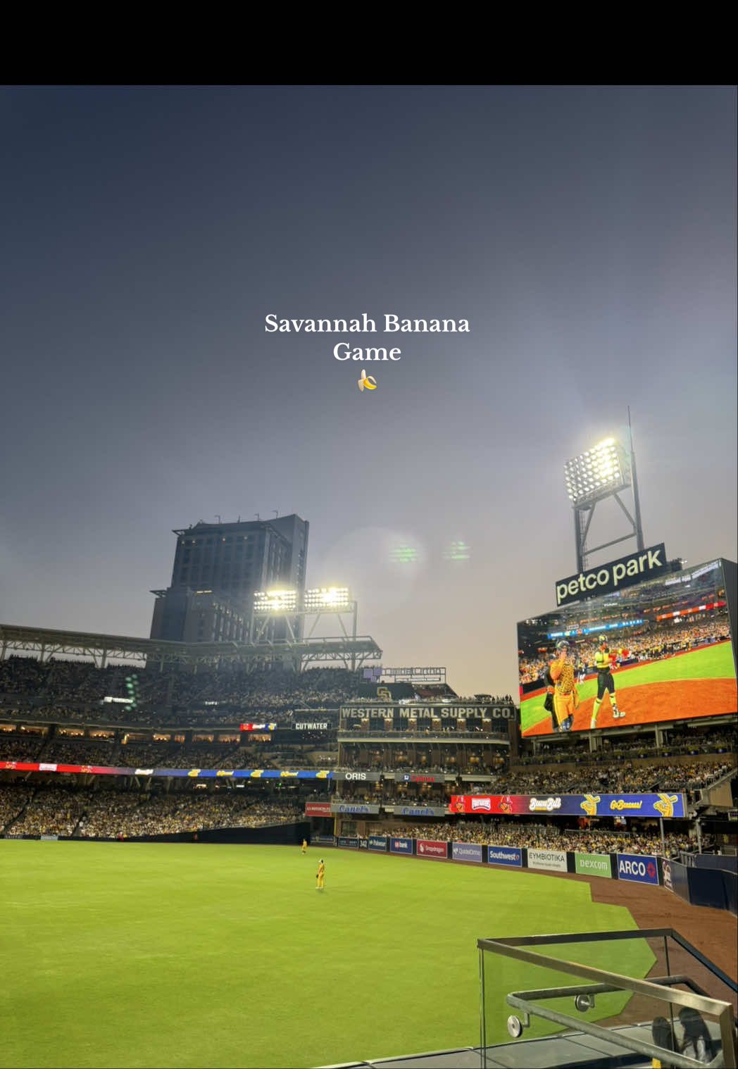 Hehe i still love my boys 😚#savannahbananas #savannah #sandiego #padres #baseball #baseballboys #sdpadres #fyp #foryou 