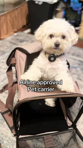 Pet carrier for cat or smaller dogs! #petcarrierbag #airlineapproved #dogmom #catsoftiktok #TikTokShopRestock 