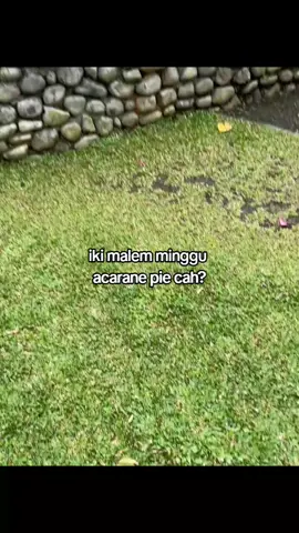 #foryoupage #masukberandafyp #fypシ゚viral 