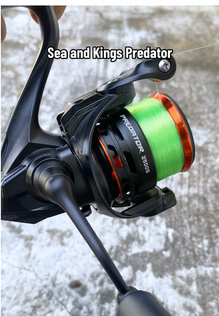 Suara Drag Clicker Reel Sea And Kings Predator SW Tersedia Ukuran 1000 & 2500 #reelseakings #reelseakingspredator #seakingspredator #reelpredator #seaandkingspredator 