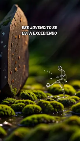 Disciplina y Mentalidad 💪🏻🧠🍃🌿 #pazmental #disciplina #gym #paratii #viral 