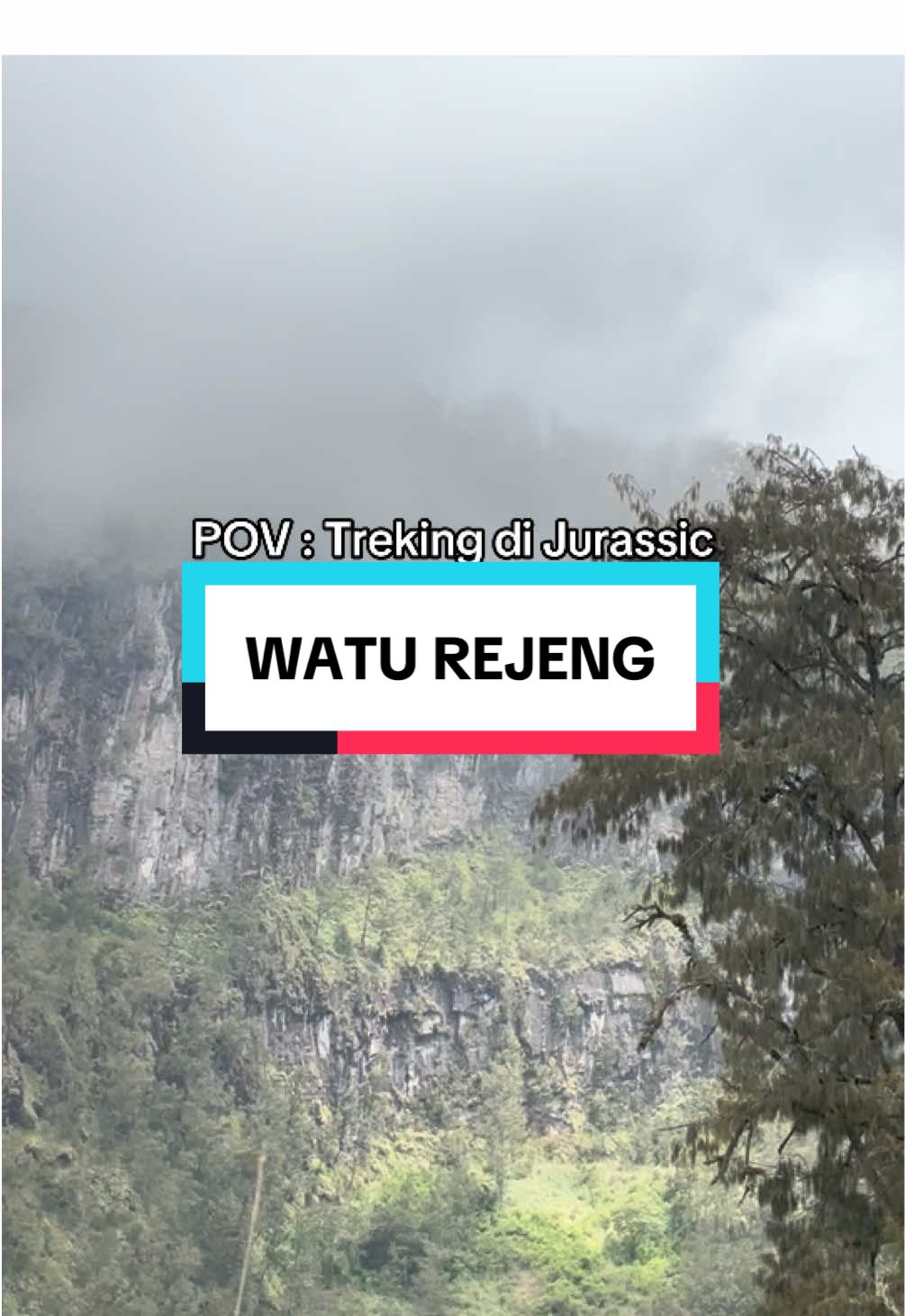Setuju gak kalau watu rejeng adalah best spot treking ke Ranu Kumbolo? 😍 #hike #mountain #pendaki #ranukumbolo #semeru 