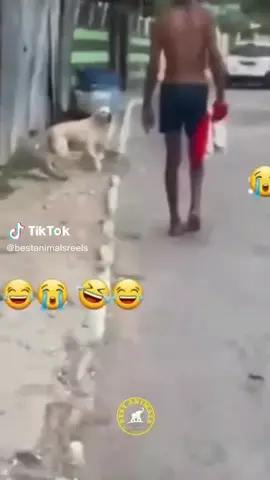 funny moment #africantiktok #funnyvideos #1million #dio #viraltiktok 