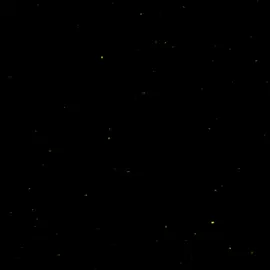 قال الشاعر: #شعر #حزن #كلام_من_ذهب #اكسبلور #fyp 