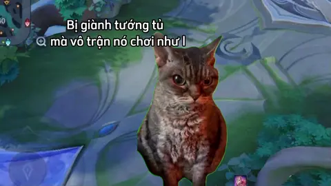 bực bội #lienquanmobile #lienquanmobile_garena #aov #rov #fyp 