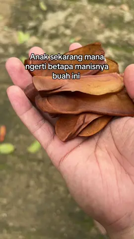 Maniss bgt