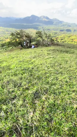 #everyone #fyp #viral #nature 