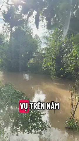 Xóm trại xã phong hòa, tỉnh đồng tháp 