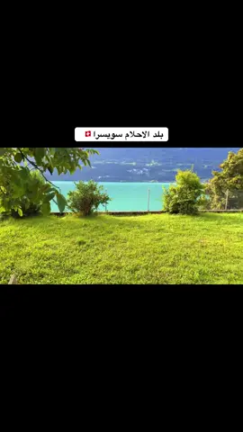 شوكت تاوي تطلع وتخلص 🇩🇪🇨🇭. . #الهجره #اليونان #الغربه #المانيا #سويسرا 