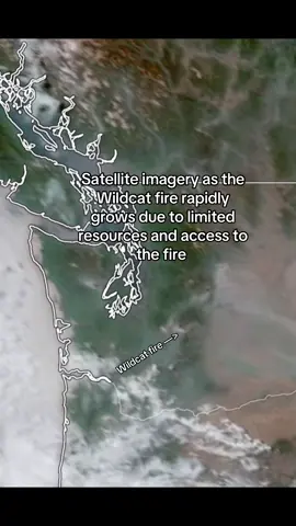 The Wildcat Fire #wildfire #fyp #wildfireseason 