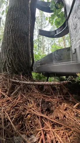 Trying saw the hardest tree in the south. Those poplar trees can be tough on the old Tigercat #tigercatforestry #fyp #saw #cutterman #sawhead 
