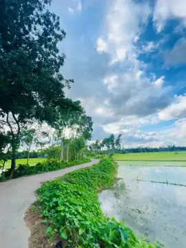 আমার ব্যবহার এ কস্ট পেয়ো না জান - আমি মানুষ টা অনেক খারাপ তাই তোমাকে কস্ট দিলাম ভালোই যদি হইতাম তাহলে তোমাকে ভালোইবাসতাম চেরে আসতাম না 🥺😫🥺#foryoupage #foryoupage @❤️ স্বপ্নের রানী ❤️ #foryoupage 