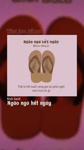 Ngáo ngơ hết ngày - Bình Gold #binhgold #nhachaymoingay #rap #xuhuong #fybシ 