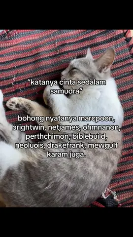 bohong. #thaienthu #kapalkaram #xybca #fyp 
