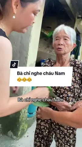 #nguyenvietnam #bànoicuatoi #NVN @Nguyễn Việt Nam 🇻🇳 