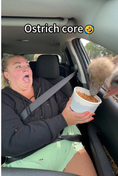 ostrich core#ostrich #fpy #funnyanimals #funnytiktok #foryou