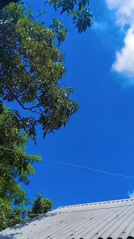 Ma Sah Allah allahor sristi koto sundor,😊🫀 @TikTok Bangladesh @TikTok Treats Indonesia #foryoupage #CapCut #tiktok #capcut #foryou 