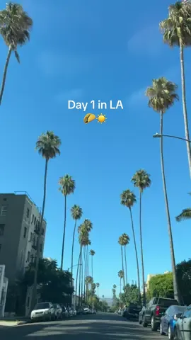 Day 1 in LA. What else should we do here? Gimmie your food recs please 😋🌮 #losangeles #latina #gricelduh #fyp #villatacos 