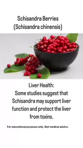 “Schisandra berries – the 5-flavor fruit 🌿🍇 Boosts energy, supports liver health, and helps your body handle stress naturally!”                                    Shop online @ herbsandowls.com or visit in-store at Herbs and Owls.  We’re located at 725 N. Hwy A1A, D-103, Jupiter, FL33477 (insideAlhambraPlaza). Open Tuesday through Saturday,  10 AM to 3 PM.  Questions? Call us at (561) 768-9005                    #Schisandra #Adaptogen #Superberry #herbanddorothy #NaturalHealing   