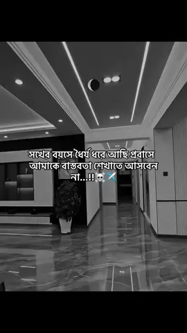 #সখের বয়সে ধৈর্য ধরে আছি প্রবাসে   আমাকে বাস্তবতা শেখাতে আসবেন  না...!!☠️✈️#foryou#viral#tiktok#bangladesh