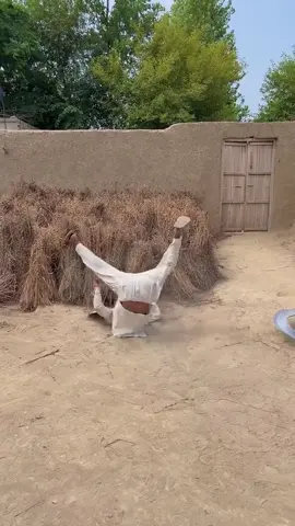 #funnyvideos #funny