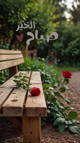 #صبااحكم_رايق_وجميل🌺🥀 #لبنان🇱🇧 #الكويت #العراق_السعوديه_الاردن_الخليج #تونس_المغرب_الجزائر_ليبيا_ 