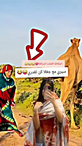 #دنيازايلي #تراثنا_فخرنا #اعادة_النشر🔃 #جاهزية_سرعة_حسم_في_كل_مكان_و_زمان😎 #الشعب_الصيني_ماله_حل😂😂 
