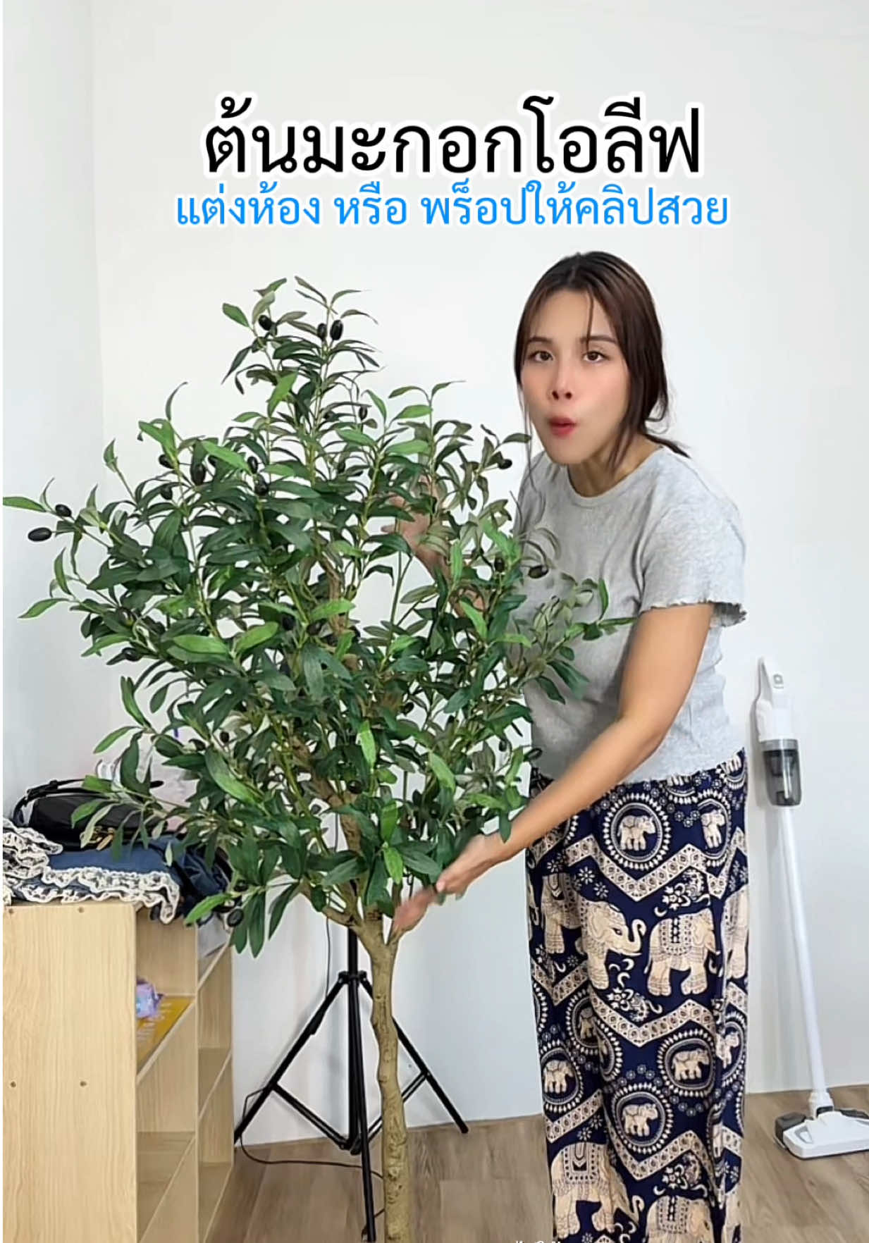 ต้นโอลีฟตกแต่งห้อง สวยเหมือนจริงเลย✨ #ต้นโอลีฟ #ต้นมะกอกโอลีฟ #ต้นไม้ตกแต่งบ้าน #ต้นโอลีฟปลอม #ต้นโอลีฟตกเเต่งบ้าน 
