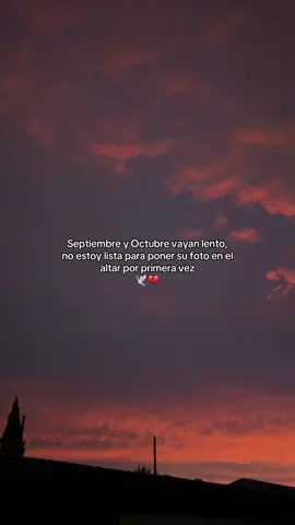 👵🏻#abuelita #enelcielo #teextraño 