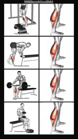 ✅ How to Build Bigger Calves  ① Standing Calf Raise  ② One Leg Donkey Calf Raise  ③ Barbell Seated Calf Raise  ④ One Leg Dumbbell Seated Calf Raise  3 sets 15-20 reps  #Fitness #gym #exercise  #workout #workoutroutine           