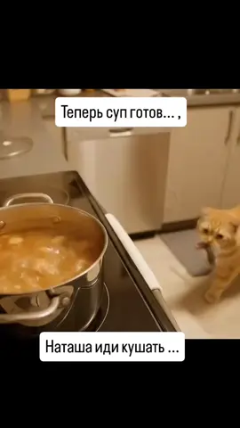 Пусть хоть с мясушкой борщь поест!😁🐈😂🐀А то три корочки хлеба!😂Хто как ни Я!!!🍲🐀💯😺ПОЗАБОТИТСЯ😸