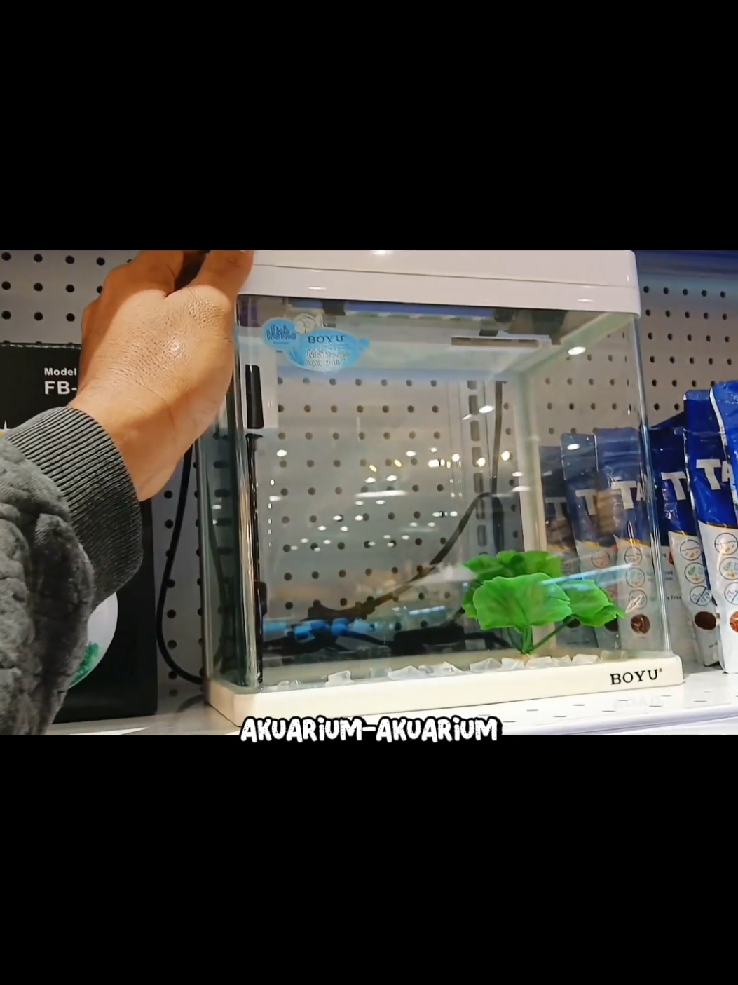 lihat-lihat cuci mata produk berkwalitas yang ada di @azko.kudus. aquarium dengan desain minimalis cocok untuk hiasan meja kerja atau sudut kecil di ruangan #tokoaquarium #ikanhias #setupaquarium #aquarium #azkoinforma 