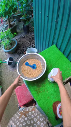 Cái này êm lắm nha 🥰