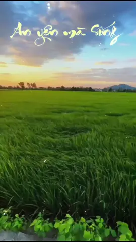 #tamtrang 