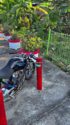 Pedot delll #tigergank #tigermodifikasi #tigerherex #fyp #blitar24jam 