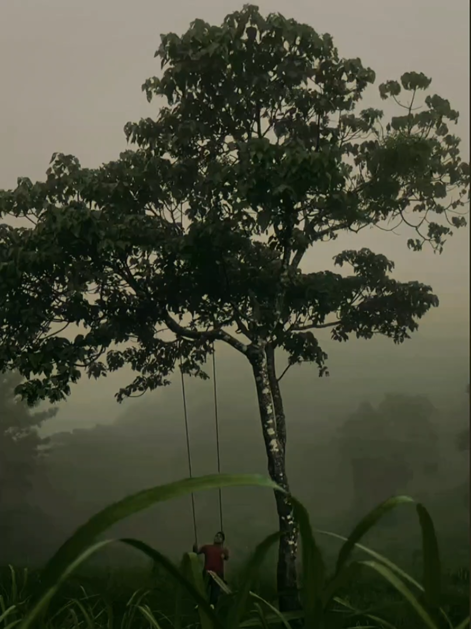 relax places tamil bgm status  #peacefulnature #darkvibesnature #tamilbgm #naturevibestamilbgm #darkromance 